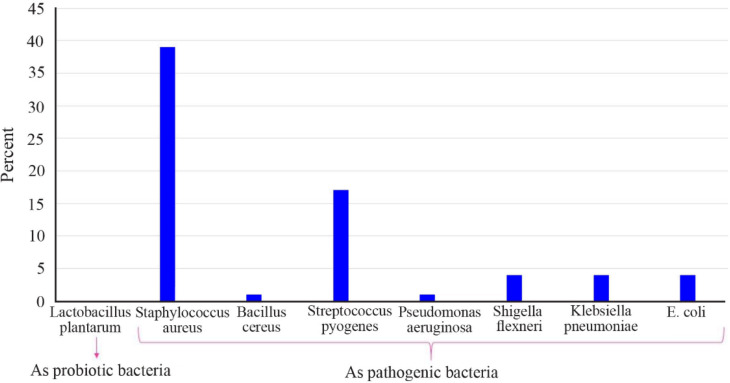Figure 2. Comparing the percentage of amniotic fluid samples having zone of inhibition with the total samples (%) based on bacterial strain