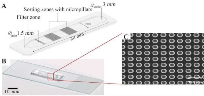 Figure 1. Microfluidic chip model (A) micropillar pattern within the microchannel with three zones, including staggered arrangement and aligned arrangement of circular columns; (B) the actual image of the microfluidic device; and (C) micropillar arra