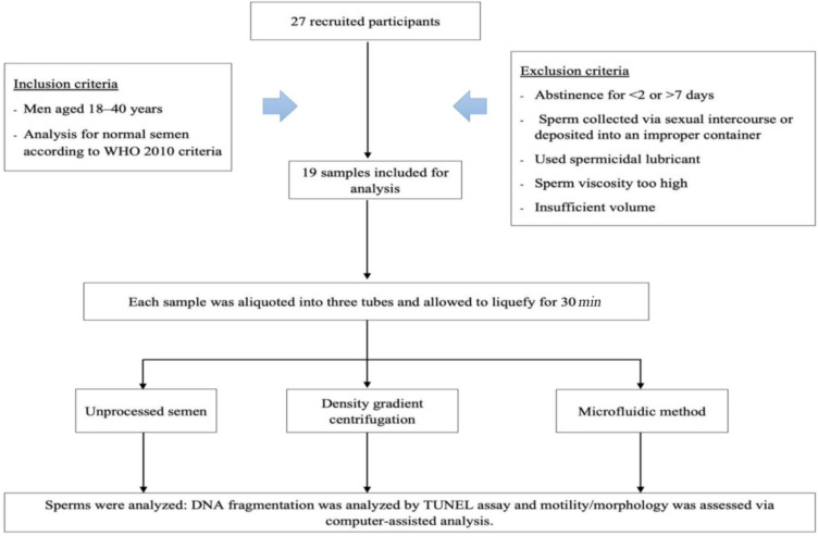Figure 3. Flowchart outlining the study protocol. WHO, World Health Organization