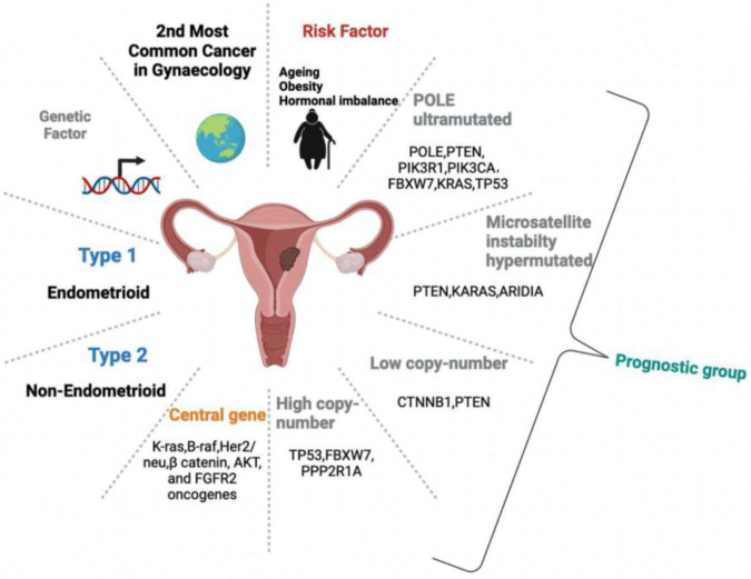 Figure 1. The figure shows EC is a sophisticated system, depicting its occurrence, categorization, prognostic groups, and oncogenic genes