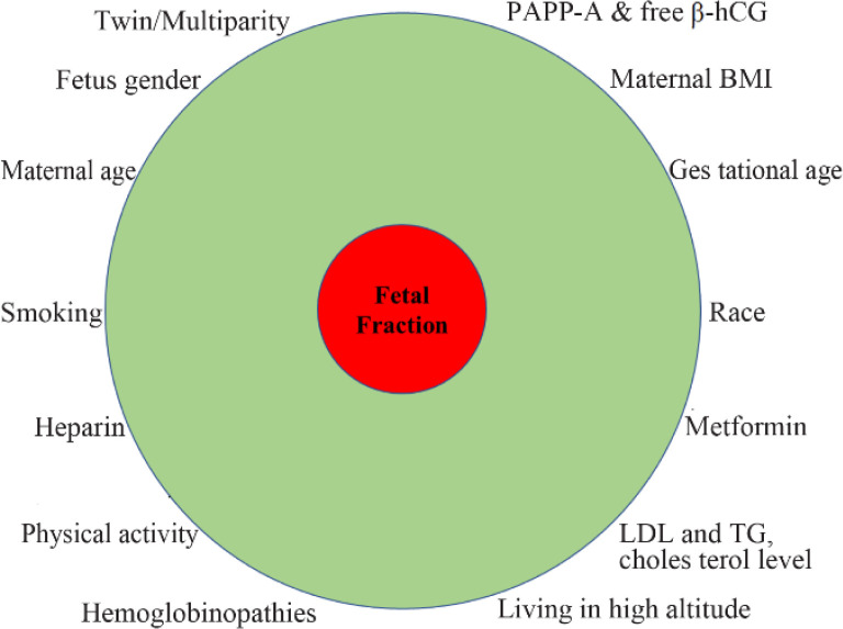 Figure 2. Reported factors affecting fetal fraction * Negative correlation between maternal age and BMI/body weight with fetal fraction was detected. Likewise, LDL, cholesterol, triglyceride level, metformin, heparin and enoxaparin therapy, hemoglobi