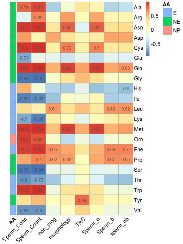 Figure 4. Heatmap of the correlation coefficients between spermiogram parameters, total antioxidant capacity (TAC), and amino acids in the seminal plasma (SP) samples. Only the amino acid that showed correlation over 70% was considered significant
