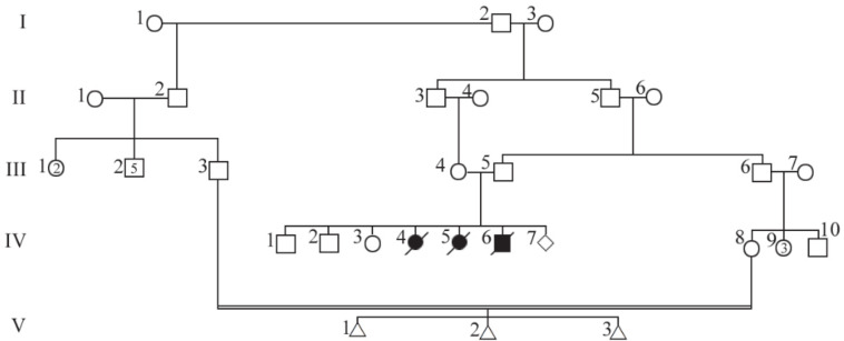 Figure 1. Family pedigree, arrow indicates the proband; solid symbols show the affected child, open symbols represent clinically asymptomatic individuals, and triangles stand for spontaneous abortions