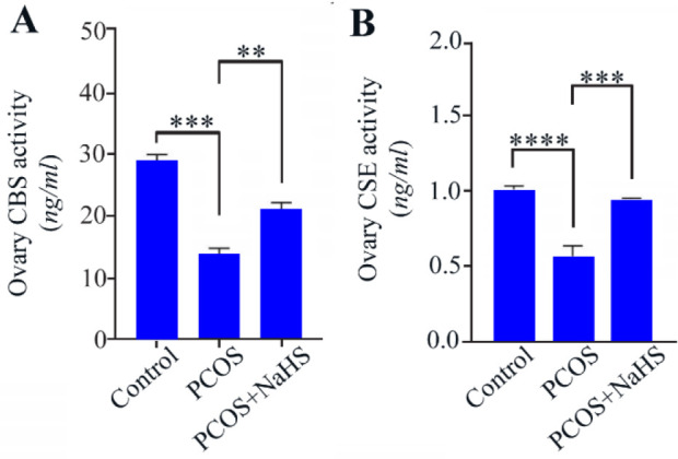 Figure 3 Changes in cystathionine β-synthase (CBS) (A) and cystathionine γ-lyase (CSE) (B) activity in different groups (n=6). Data are expressed as mean±SEM.
# Indicates p<0.0001 compared to the control group. * Indicates p<0.001 compared to
