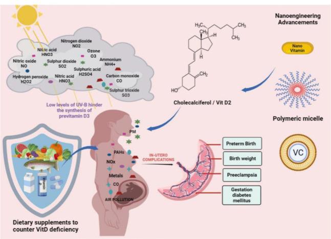 Figure 2 Nutrigenomic intervention as a potential solution to mitigate pregnancy complications associated with air pollution exposure Description: The diagram highlights the potential dangers of air pollution exposure during pregnancy, which can lead