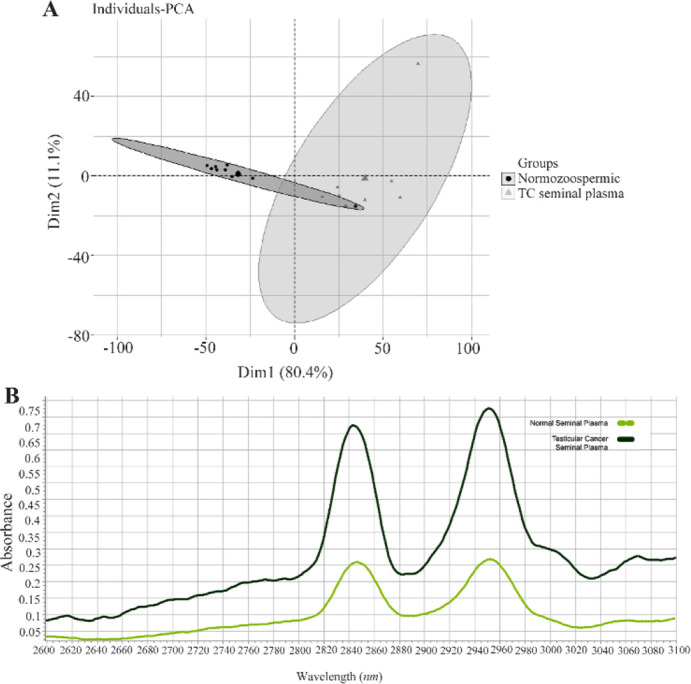 Figure 2 A) The principal component analysis (PCA) results of the data matrix of seminal plasma of testicular cancer (TC seminal plasma) patients (--▲--) versus healthy men (normozoospermic men) (--◼--). B) The Raman spectra mean for seminal plasma o