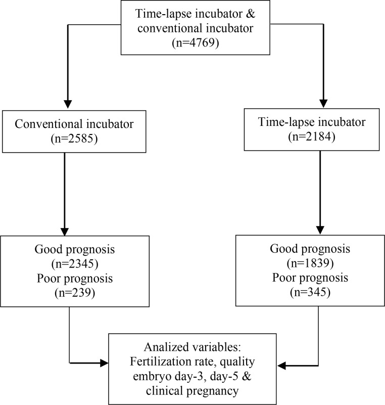 Figure 1. Schematic representation of the study