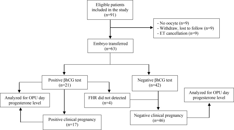 Figure 1. Flow diagram of study participants