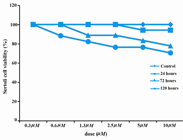 Figure 6 Effects of artesunate on Sertoli cell viability