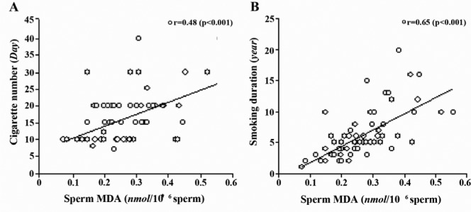 Figure 2 The relationship between sperm MDA concentration and the number of cigarette, A) and duration of smoking, B) in male smokers