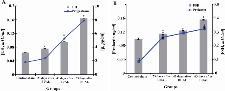 Figure 3 Effect of BUAL on the alterations of A: LH and progesterone and B: FSH and prolactin levels in serum, *s represent significant differences (p<0.05) between the BUAL-induced groups and the control-sham group. All data are presented as Mean