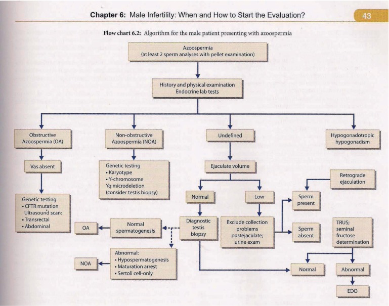 Figure 1 An example of the flow charts in the book entitled: Medical and Surgical Management of Male Infertility (used by permission of Jaypee Brothers Medical Publishing)