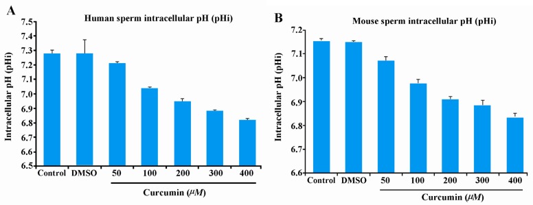 Figure 2 Human (panel A) and mouse (panel B) sperm intracellular pH (pHi) after curcumin treatment. BCEF-loaded sperm were treated with increasing concentrations of curcumin and the fluorescence intensities were measured and converted to intracellula