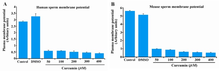 Figure 3 Effect of curcumin on plasma membrane potential in human (panel A) and mouse (panel B) sperm. Fluorescence intensity values (Mean±SE) from 3-5 independent experiments using sperm from 3-5 different men and mice are shown. Fluorescence intens