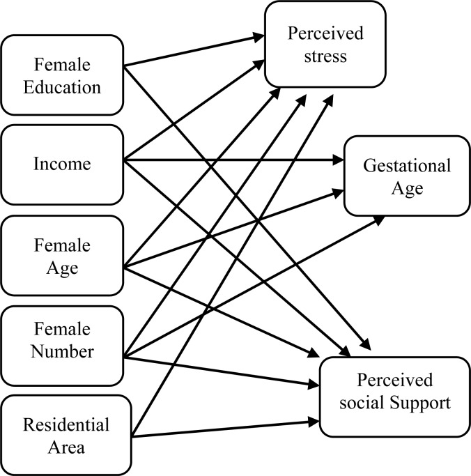 Figure 1 Theoretical path model for investigating the effects of structural and intermediary determinants of health on gestational age