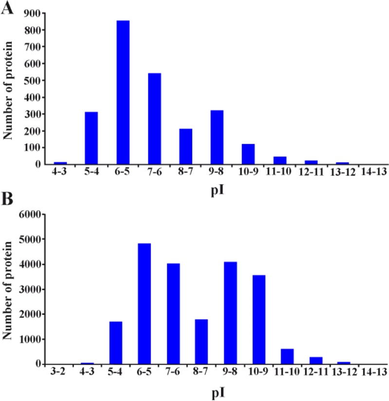 Figure 1 A: pI distribution of collected human seminal plasma proteome. B: pI distribution of theoretical human proteome