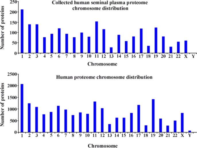 Figure 5 Chromosome distribution of the human seminal plasma versus the theoretical human proteome