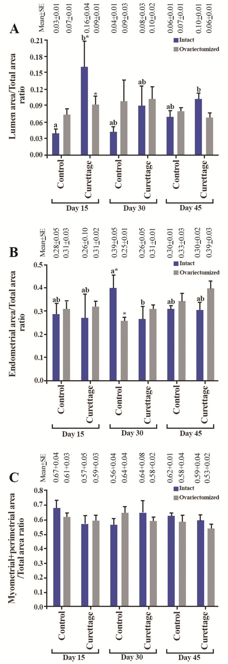 Figure 4. Mean and standard error of histopathologic indices of curetted and control uterus in rabbits in intact and ovariectomized groups, 15, 30, and 45 days after Asherman's syndrome induction. A: Lumen area/total area ratio; B: Endometrial area/t