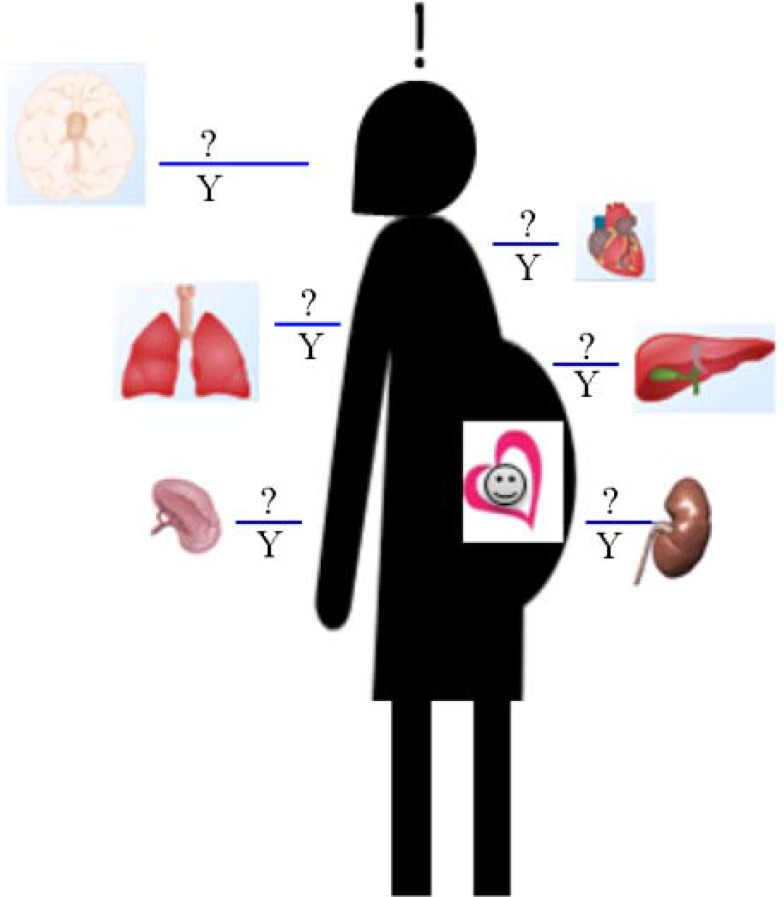 Figure 1. A pregnancy obligated present: What did the sons leave behind?