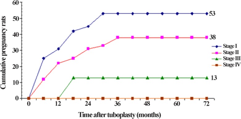 Figure 1. Cumulative intra uterine pregnancy rate with respect to tubal stage (Curves tubal stage 1 and 2: log-rank c2: 2, 4; p=0.1) (Curves tubal stage 1 and 3: log-rank c2: 9; p=0.02)