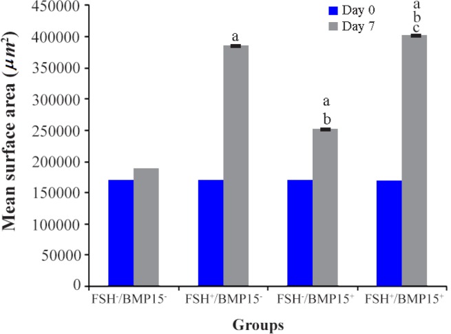 Figure 3. The mean surface area (μm2) of mouse ovaries on the beginning day 0 and day 7 of culture period. a: significant differences with FSH−/BMP15− group; b: significant differences with FSH+/BMP15− group, c: significant differences with FSH−/BMP1