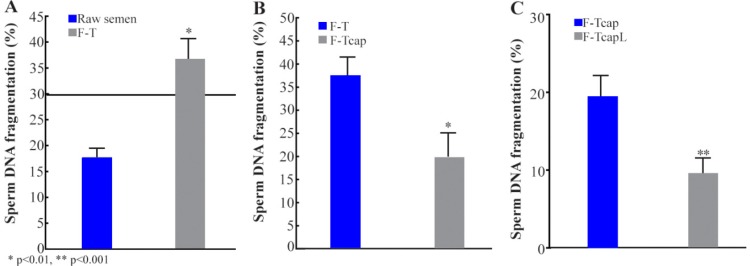 Figure 1. Percentage of sperm DNAf in fresh raw (FR) and frozen-thawed (F-T) samples. Horizontal line corresponds to cutoff value of the test; n=15 (Figure 1A). Percentage of sperm DNA fragmentation in capacitated (F-TCap) and non-capacitated (F-T) s