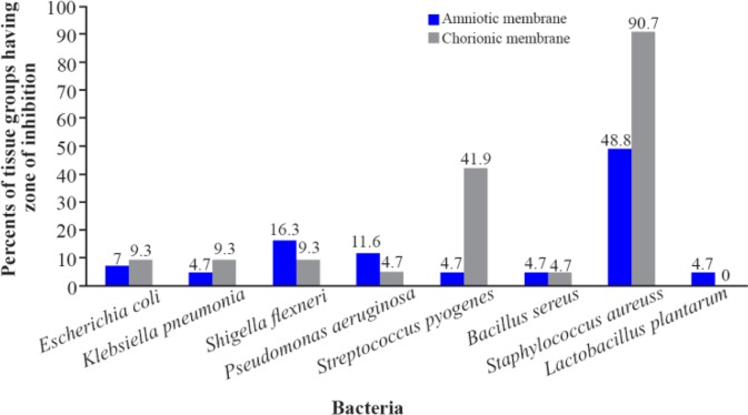 Figure 4. Comparing number of tissue groups having zone of inhibition with the total number of groups (%) in chorionic and amniotic membranes based on bacterial strain. The minimum and the maximum sizes of inhibitory zone were 1 mm and 12 mm, respect