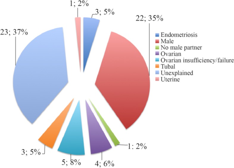 Figure 1. Primary Diagnosis of Infertility in the RIF Group