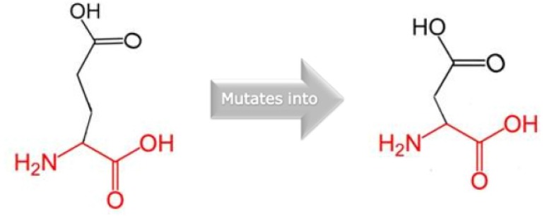 Figure 3. Schematic structures of the original (left) and the mutant (right) amino acid. The backbone, which is the same for each amino acid, is colored red and side chain, unique for each amino acid, is colored black