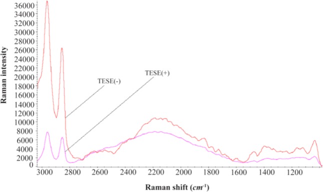 Figure 3. The average spectra of triplicated analysis of 10 TESE(+) versus 10 TESE(−) patients using Raman spectra. The –CH functional group (2800–3000 cm−1) is biomarker of oxidative imbalance