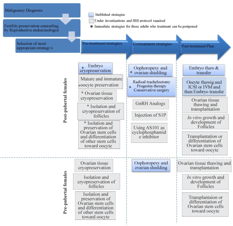 Figure 1. Recommended fertility preservation approaches in women