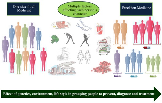 Figure 1. Comparison of differences in the biological characteristics of each individual and the differences in his classification