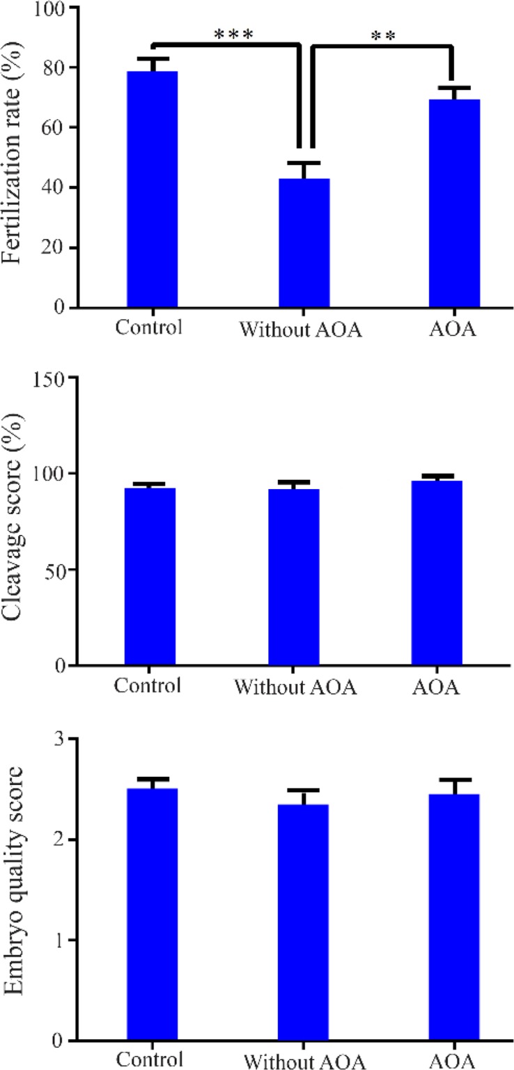 Figure 2. Comparison of fertilization rate, cleavage score, and embryo quality score between control, without AOA, and AOA groups. *** p<0.001 and **** p<0.0001, significant differences