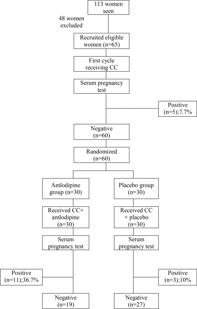 Figure 1. Flow diagram showing study course