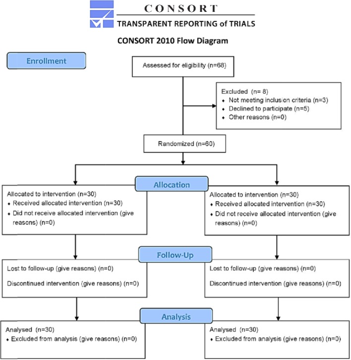 Figure 1. The CONSORT flow diagram of the randomized clinical trial