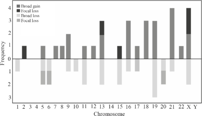 Figure 1. The frequency of broad and/or focal gain and/or loss of DNA in each chromosome. Chromosomes 3, 4, 14 and Y did not show a gain or loss of DNA, chromosomes 2, 7, 8, 12, 18 and X only showed a gain in the genetic material, and chromosomes 1,