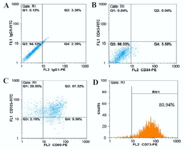 Figure 2. Characteristics of human amniotic mesenchymal stem cells (HAMSCs) by flow-cytometric analysis of surface-markers expression. The cells after passage 3 were labeled with PE or FITC-conjugated antibodies. A) The expression of IgG1-FITC as con