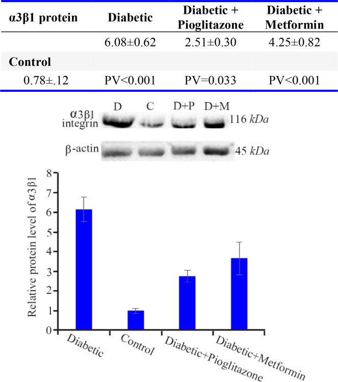 Figure 2. Comparison of α3β1 integrin protein levels in rat endometrium at the time of embryo implantation. All values were presented as mean±SEM. Error bars represent standard error of mean. p<0.05 was considered statistically significant. Data a