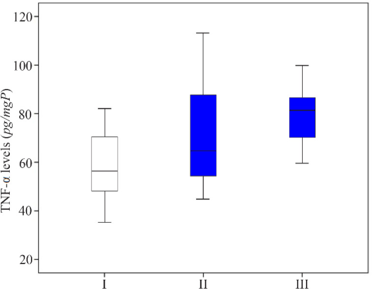 Figure 5. The comparison of TNF-α levels in the supernatant of endometriosis tissue in homogenized rat. I: sham-operated group; II: Surgically-induced endometriosis; III: Surgically-induced endometriosis+octyl gallate (20 mg octyl gallate dissolved i