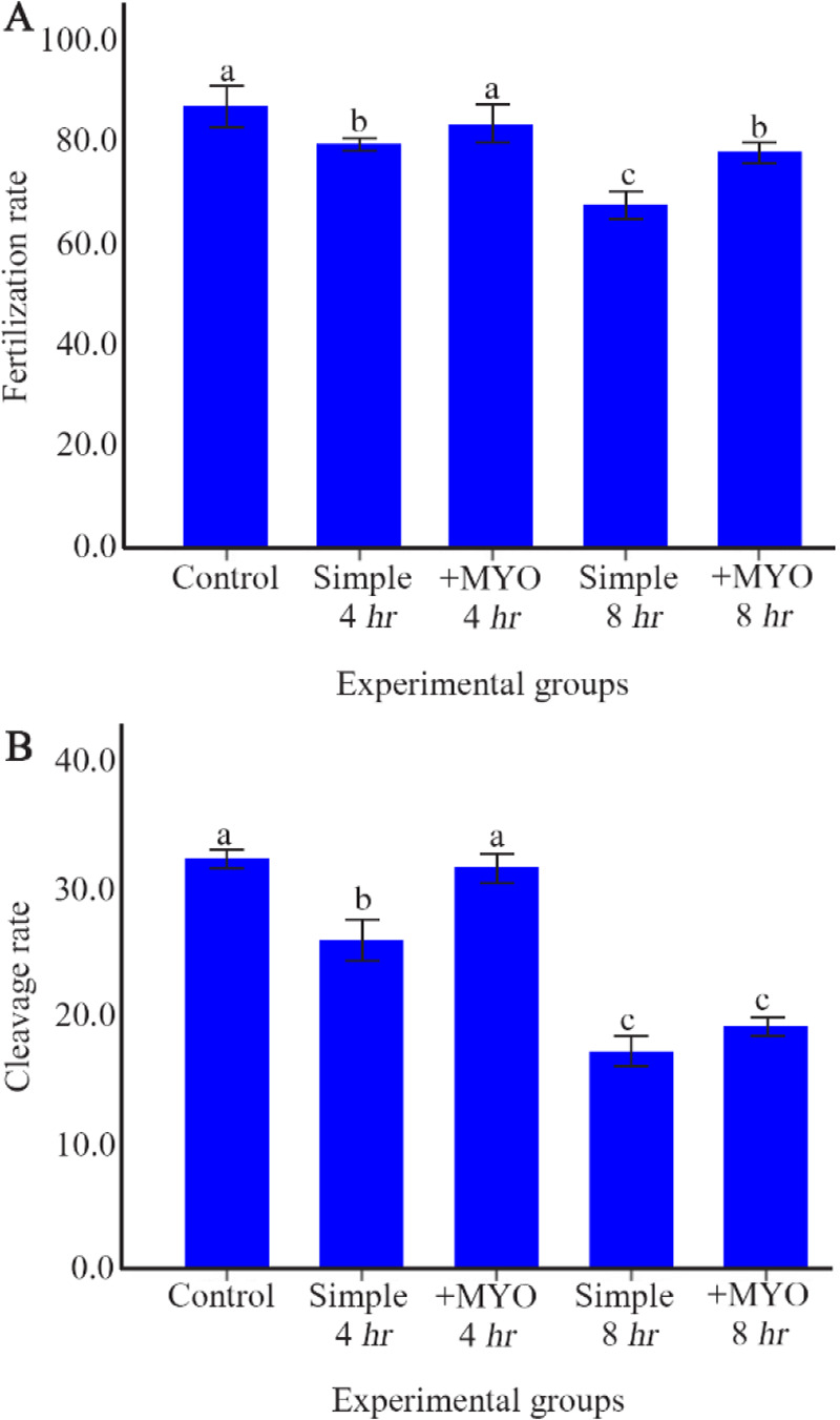Figure 5 The effect of preincubation time and myo-inositol supplementation on Fertilization and developmental rates in mouse MII oocytes. A) Fertilization and B) developmental rates of mouse MII oocytes preincubated in simple and supplemented medium 