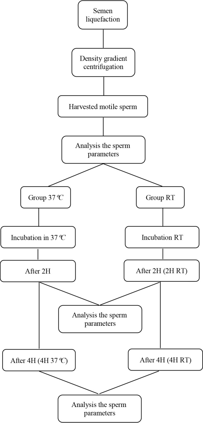 Figure 1. The schematic diagram of the experiment design. RT= room temperature