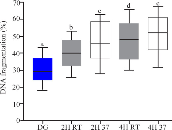 Figure 4. The rate of sperm DNA fragmentation after DG preparation and in vitro culture, boxes depict the 25th and 75th percentiles with indication of the median, and whiskers depict the 10th and 90th percentiles, a, b (p<0.001), a, c (p< 0.001