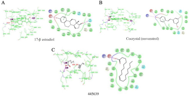 Figure 4. A–C) Binding interaction of estradiol-17β, A) and cocrystal (resveratrol) B) and Octadecanoic acid, C) from the Scoparia dulcis extract which showed highest binding affinity among the seven docked compounds with ERα