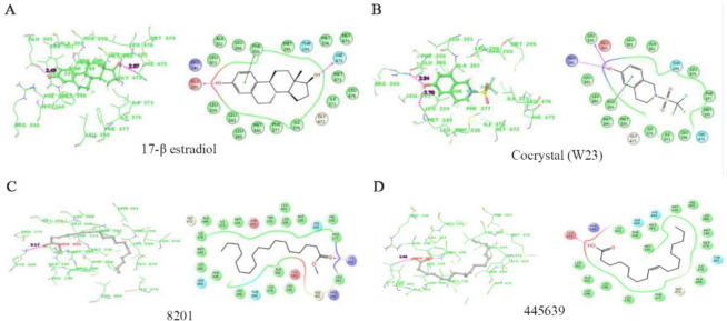 Figure 5. A–D) Binding interaction of estradiol-17β, A) and cocrystal (2-[(trifluoromethyl) sulfonyl]-1,2,3,4-tetrahydroisoquinolin-6-ol), B) and two compounds methyl stearate, C) and Octadecanoic acid, D) from Scoparia dulcis extract which showed hi