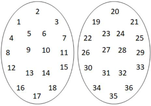 Figure 9. Systematic numbering of testes sampling site
