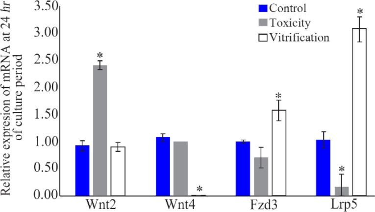 Figure 2. Relative mRNA expression of Wnt2, Wnt4, Fzd3, and Lrp5 in the PFs (n=60) at the 24th hr of culture period. The data are presented as relative fold changes (Mean±SD) of three independent experiments. * Shows significant difference compared t