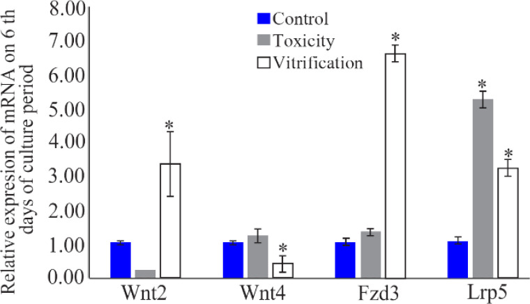 Figure 3. Relative mRNA expression of Wnt2, Wnt4, Fzd3, and Lrp5 in the PFs (n=60) on the 6th day of culture period. The data are presented as relative fold changes (Mean±SD) of three independent experiments. * Shows significant difference compared w