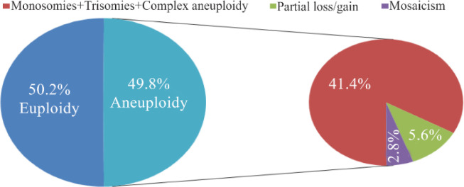 Figure 2. Rates of euploid and aneuploid blastocysts, the former divided in different subclasses for morphokinetic analysis and chromosome screening in study group B