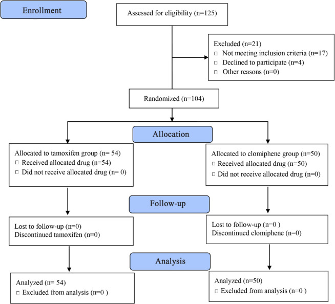 Figure 1. The study flow diagram