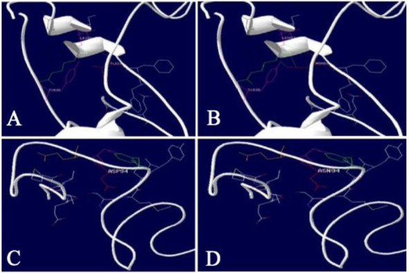 Figure 4. The tertiary structure of the INHBB protein predicted by Modeller and visualized on the standalone tool Deep-View–Swiss-PdbViewer, A) the wild-type INHBB protein with I310, B) the mutant N310 INHBB protein formation of three new hydrogen bo